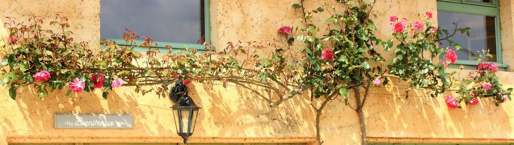 Gasthaus Le Clos Cosy Archignac Exterior foto